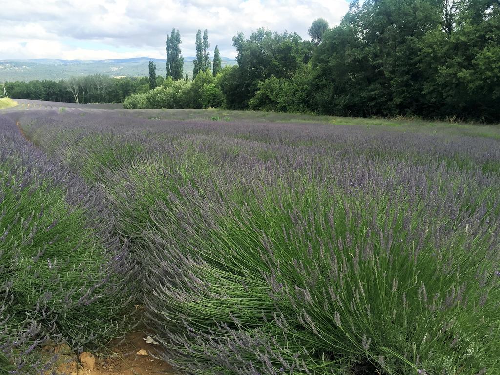 Roussillon en Isere Le Chant Du Coeur المظهر الخارجي الصورة